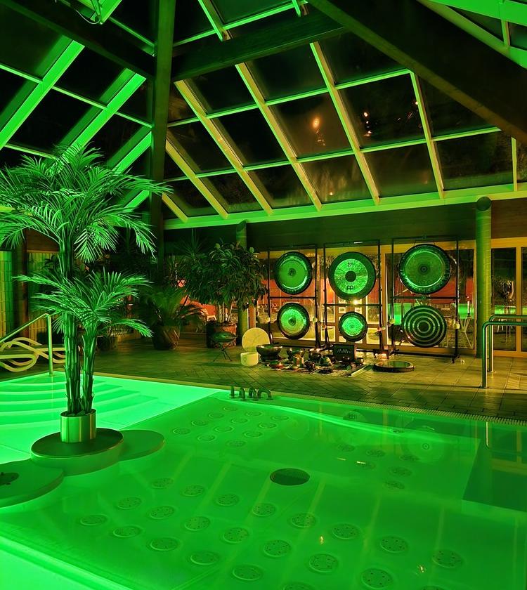 Piscina interna illuminata di verde, circondata da piante, crea un'atmosfera rilassante e lussuosa.